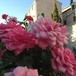 Kokolo *