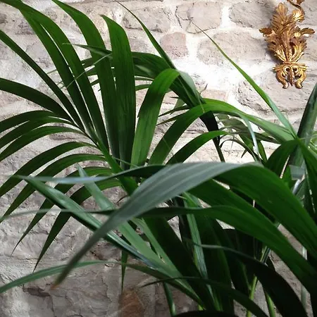 科克洛公寓 * 希贝尼克