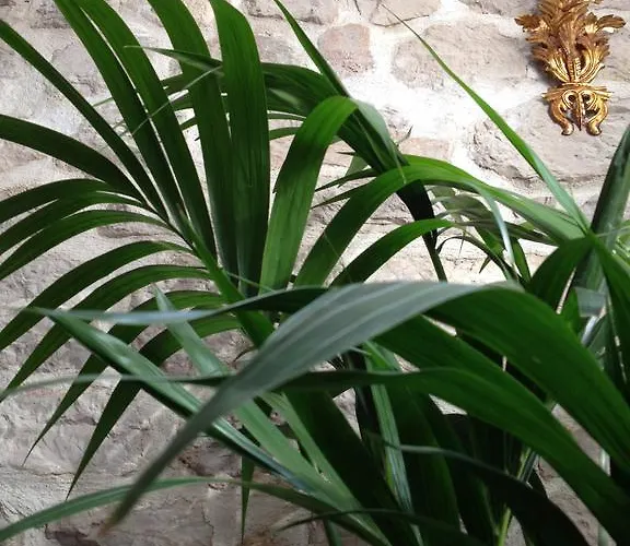 科克洛公寓 * 希贝尼克